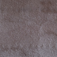 champagne aspen swatch