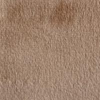 gold aspen swatch