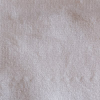 oat aspen swatch